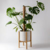 Coco Coir Pole