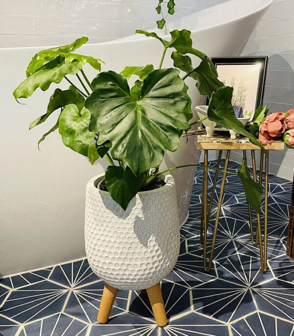 w-planters-5-0.jpg Honeycomb Style