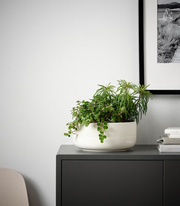 w-planters-8-0.jpg Gradvis